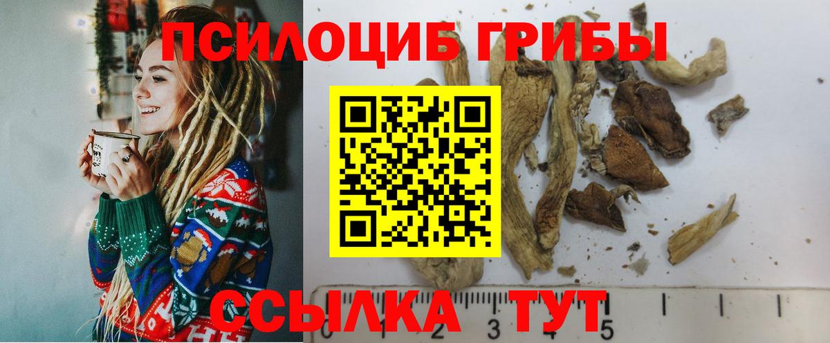 Псилоцибиновые грибы MAGIC MUSHROOMS Луховицы